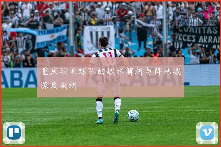 重庆羽毛球队的战术解析与阵地战深度剖析