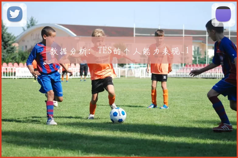 数据分析：TES的个人能力表现_1