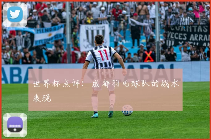 世界杯点评：成都羽毛球队的战术表现