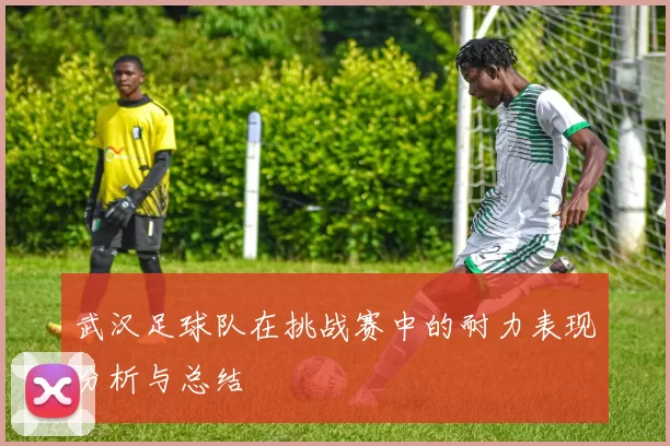 武汉足球队在挑战赛中的耐力表现分析与总结