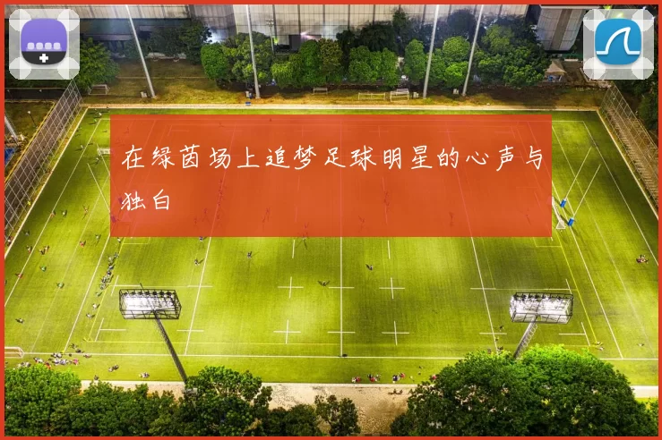 在绿茵场上追梦足球明星的心声与独白