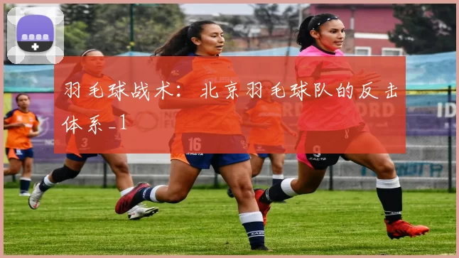 羽毛球战术：北京羽毛球队的反击体系_1